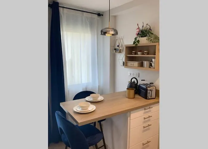 Joli Standing En Hyper Centre * トゥールーズ