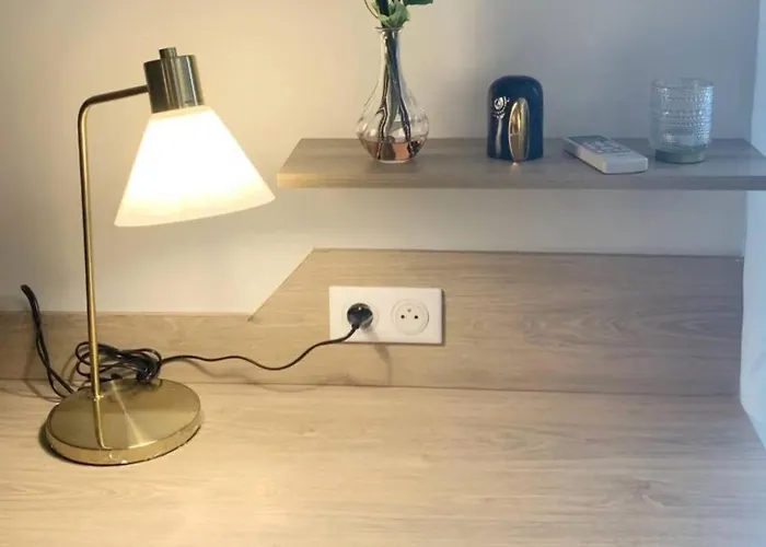 Joli Standing En Hyper Centre アパート *