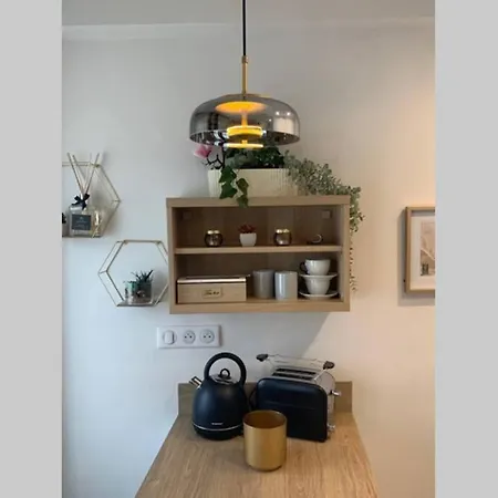 Joli Standing En Hyper Centre Τουλούζη