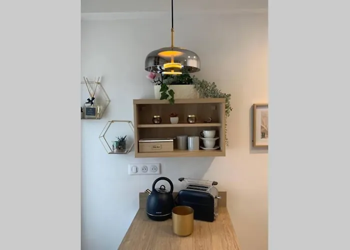 Joli Standing En Hyper Centre تولوز